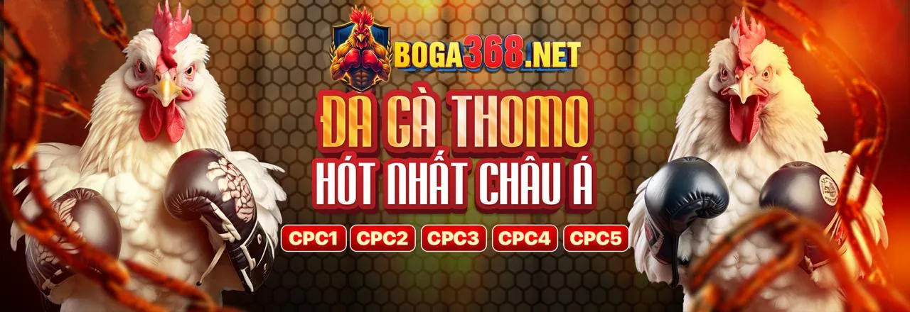 Đá gà trực tuyến VN999 - Trải nghiệm cá cược đỉnh cao