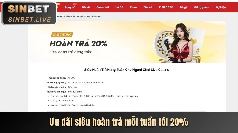 Ưu đãi và khuyến mãi hấp dẫn tại vn999